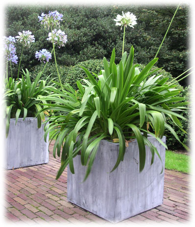Bacs et Jardinières Rita Jordens